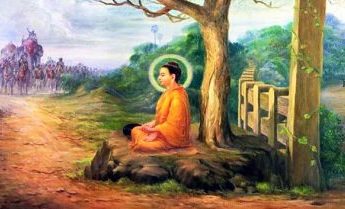 Xử sự của Đức Phật khi biết tin cả dòng họ bị giết hại?