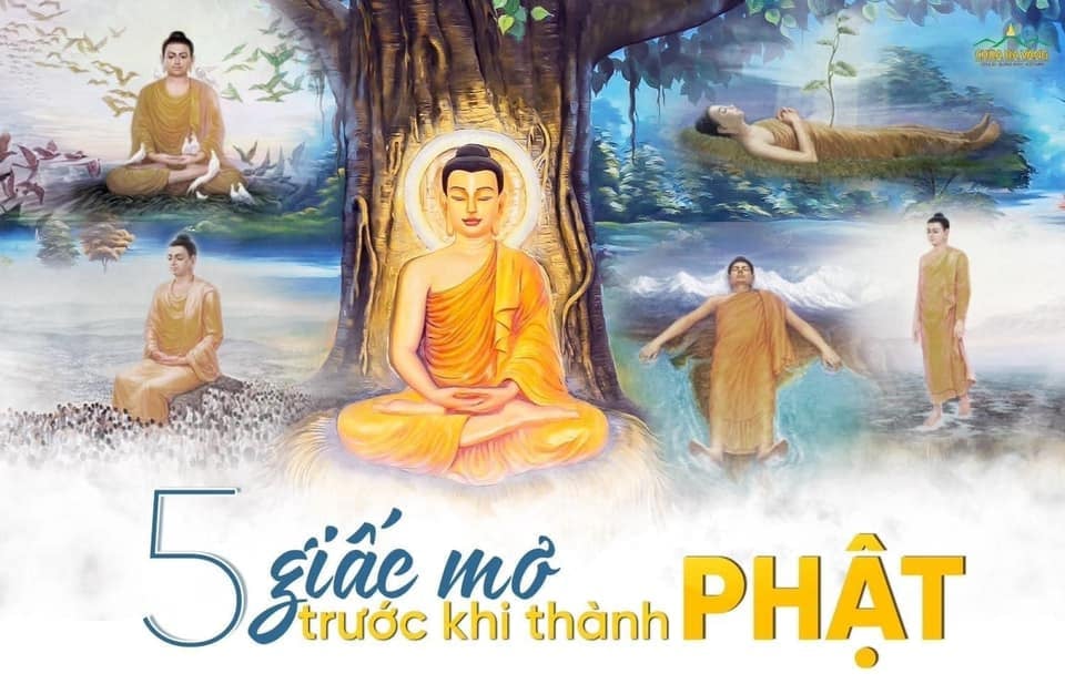 Ý nghĩa 5 giấc mơ diệu kỳ của Đức Phật trước đêm thành đạo - Đạo Phật muôn màu