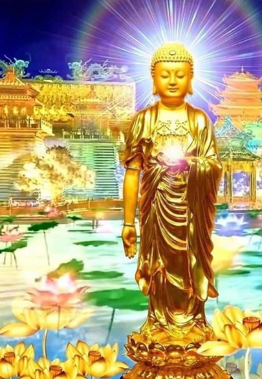 A Mi Đà Phật - Tâm lượng lớn thì phước báo lớn; chịu thiệt là phước, bị lừa là trí huệ!