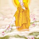 Đức Phật và sen
