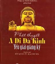 Phật thuyết A Di Đà Kinh Yếu Giải Giảng Ký 1993 (16 tập) – HT Tịnh Không