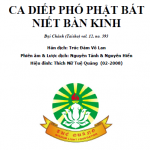 Kinh Ca Diếp Phó Phật Bát Niết Bàn - Thích Nữ Tuệ Quảng