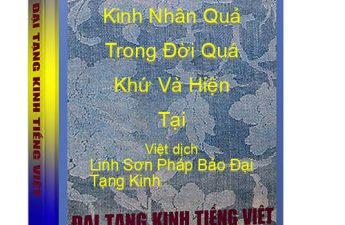 Kinh Nhân Quả Quá Khứ Hiện Tại - Linh Sơn Pháp Bảo Đại Tạng Kinh