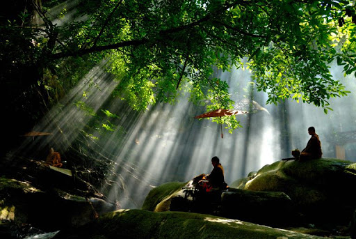 Sự tương quan giữa đạo Phật và môi trường