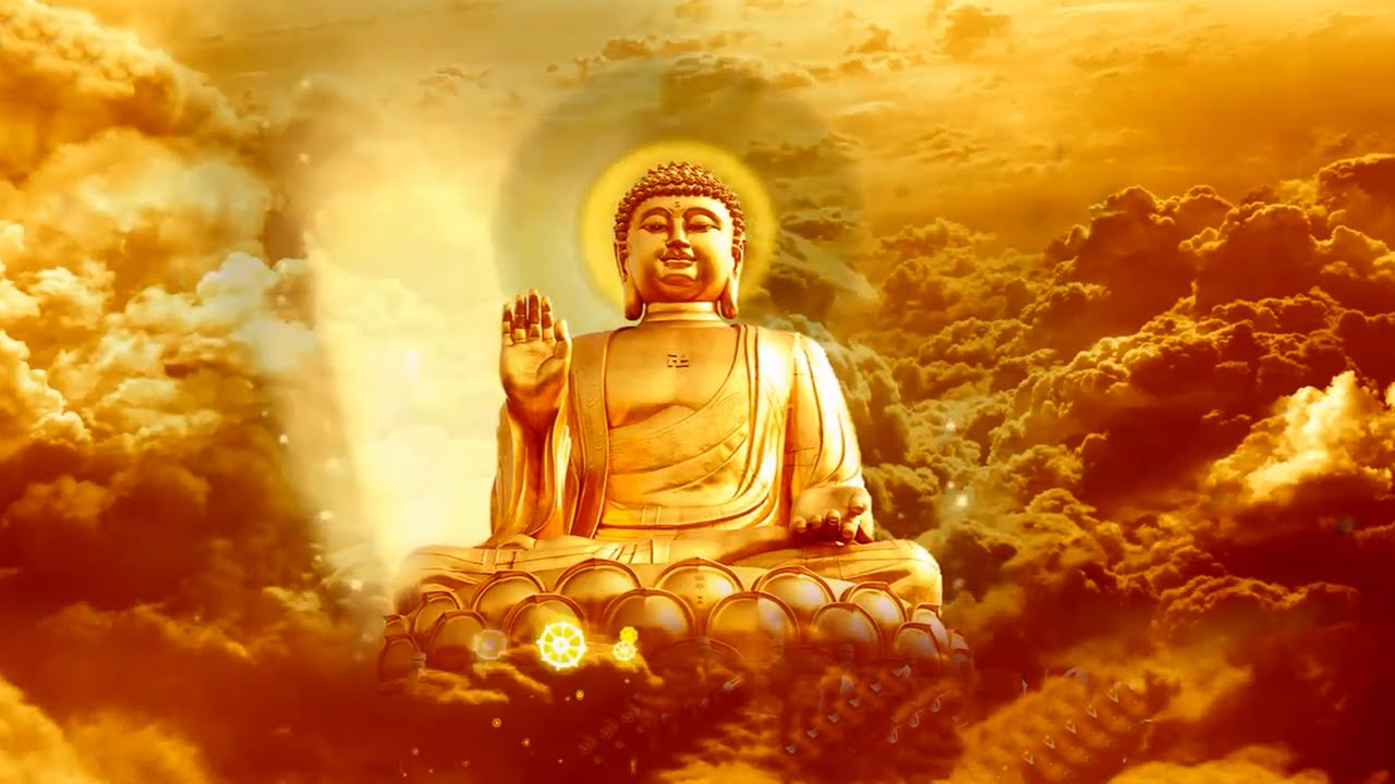 Không tin vào Tịnh Độ là xem thường chư Phật