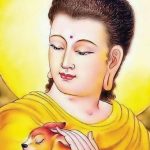 Phật thuyết về tội phước báo ứng Kinh
