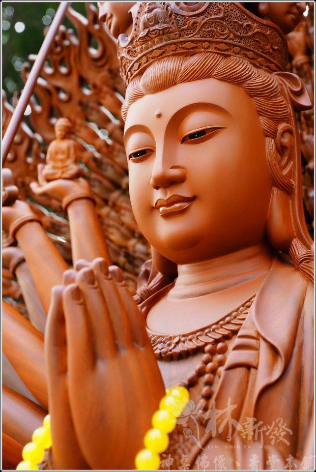 Chư Phật, Bồ Tát hết sức từ bi cũng không thể thay ta chịu tội báo