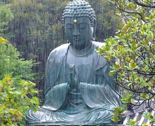 Tượng Phật dưới mưa