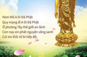 Quy Mạng Lễ A Mi Đà Phật