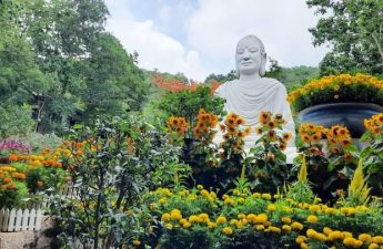 Con nguyện lòng tôn kính phật tuyệt đối - Phật Quang