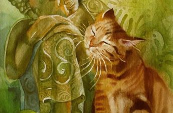 5 cái "Đừng" của người Trí - Đức Phật và chú mèo