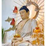 Đời người được chia làm 2 giai đoạn và những quả báo khác nhau trong 2 giai đoạn - Đức Phật
