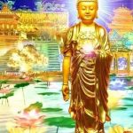A Mi Đà Phật - Tâm lượng lớn thì phước báo lớn; chịu thiệt là phước, bị lừa là trí huệ!