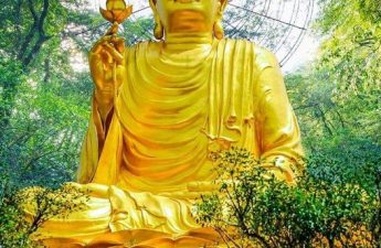 Tượng vàng Đức Phật cầm sen